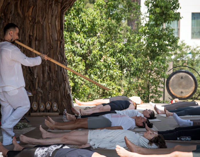 sound-healing-session The Voice of Akash Sound Healing Session